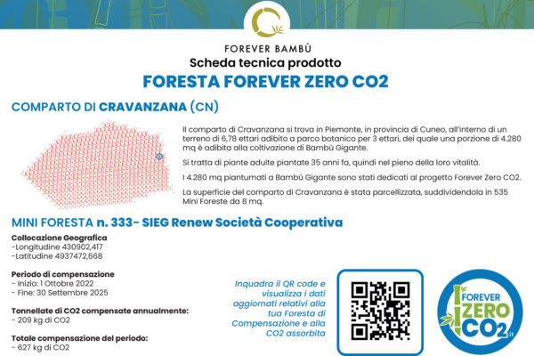 Allegato-senza-titolo-00032-2